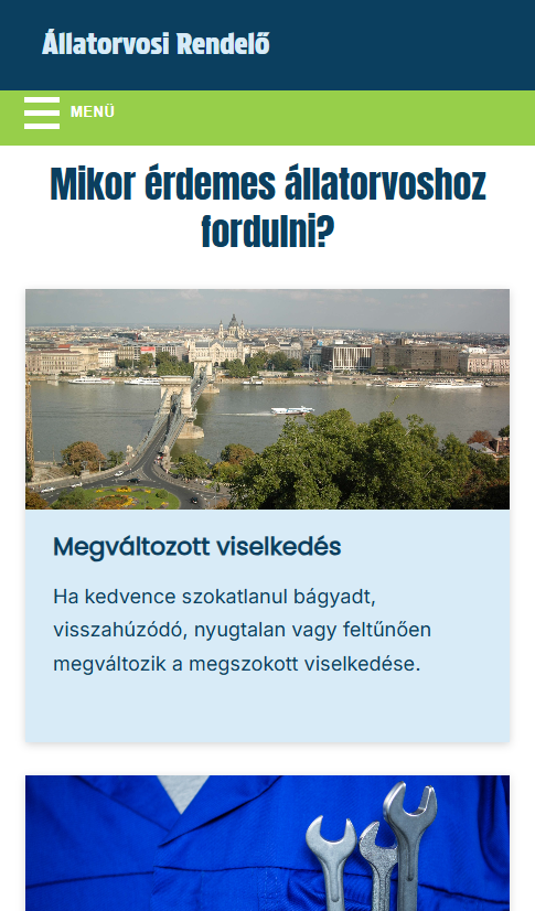 Weboldal-minta mobiltelefonon
